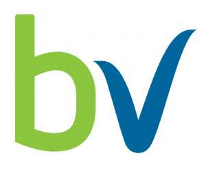 boleh vpn reviews